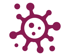 Viren und Bakterien Viren und Bakterien