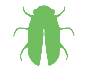 Insekten / Krabbelnd Insekten / Krabbelnd